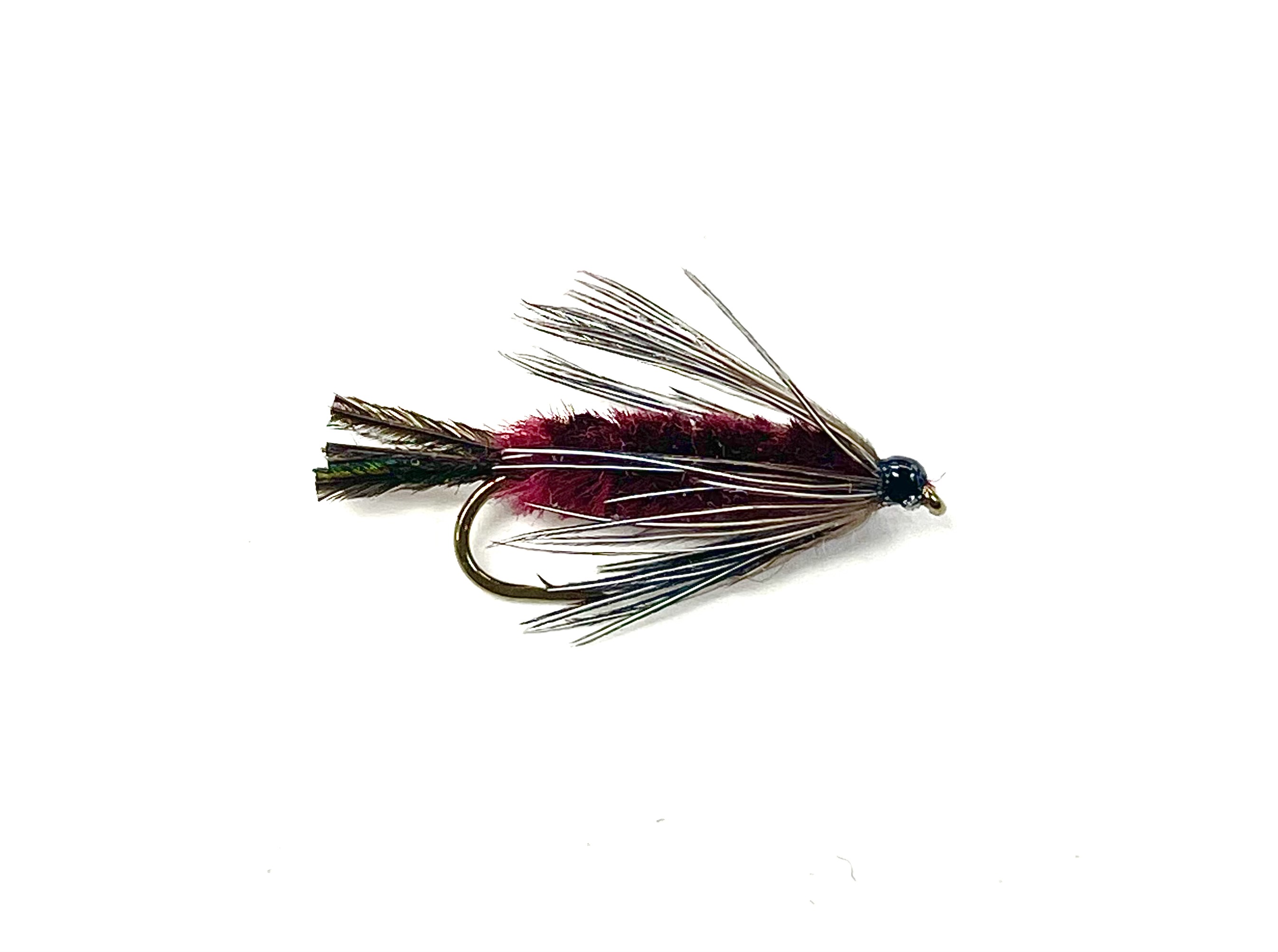 Maroon Bloodworm